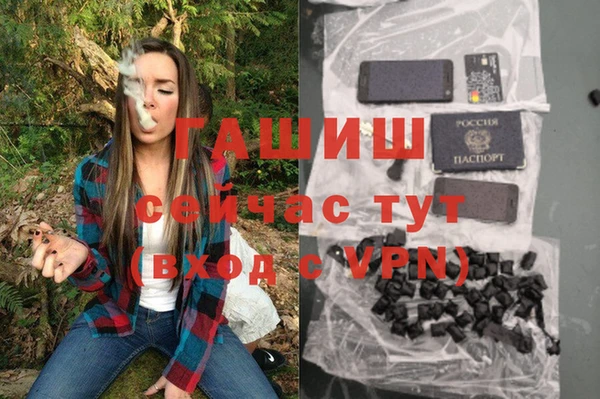 стафф Заводоуковск