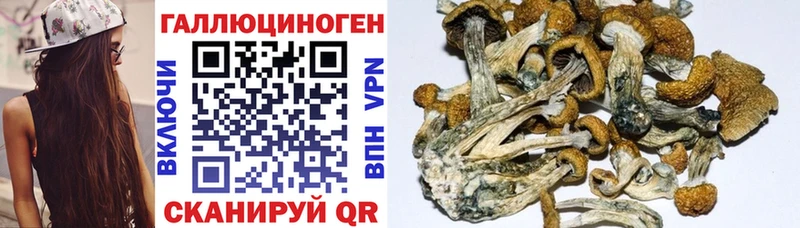 Купить  Бабушкин  Галлюциногенные грибы ЛСД 